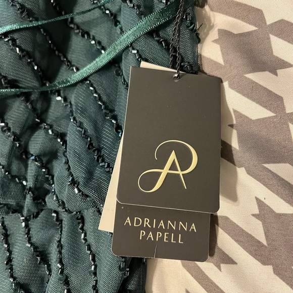 Adrianna Papell mother of the bride/groom dress. Never worn. New with tags. - Picture 3 of 7